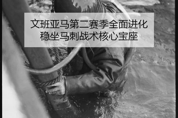 wen-ban-ya-ma-di-er-sai-ji-quan-mian-jin-hua-wen-zuo-ma-ci-zhan-shu-he-xin-bao-zuo-3-531.jpg