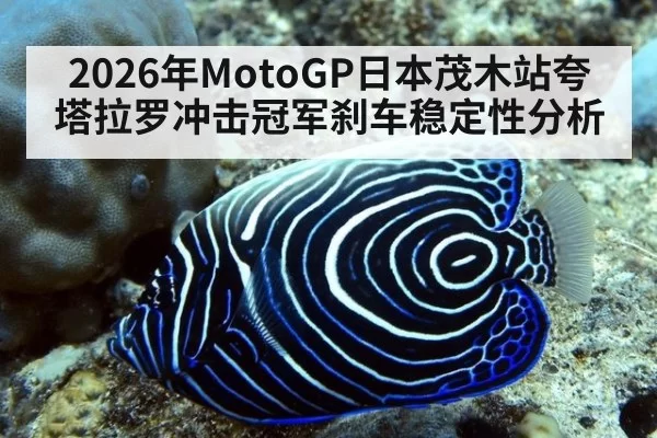 2026年MotoGP日本茂木站夸塔拉罗冲击冠军刹车稳定性分析